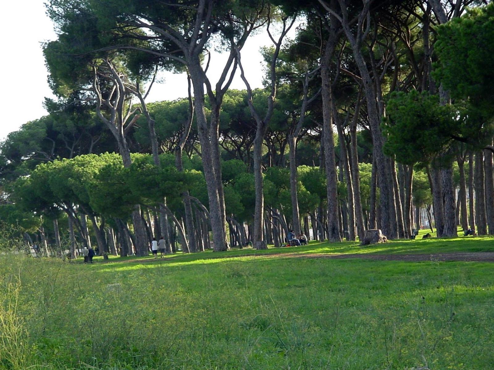 Nearpineta Apartment Rome Bagian luar foto