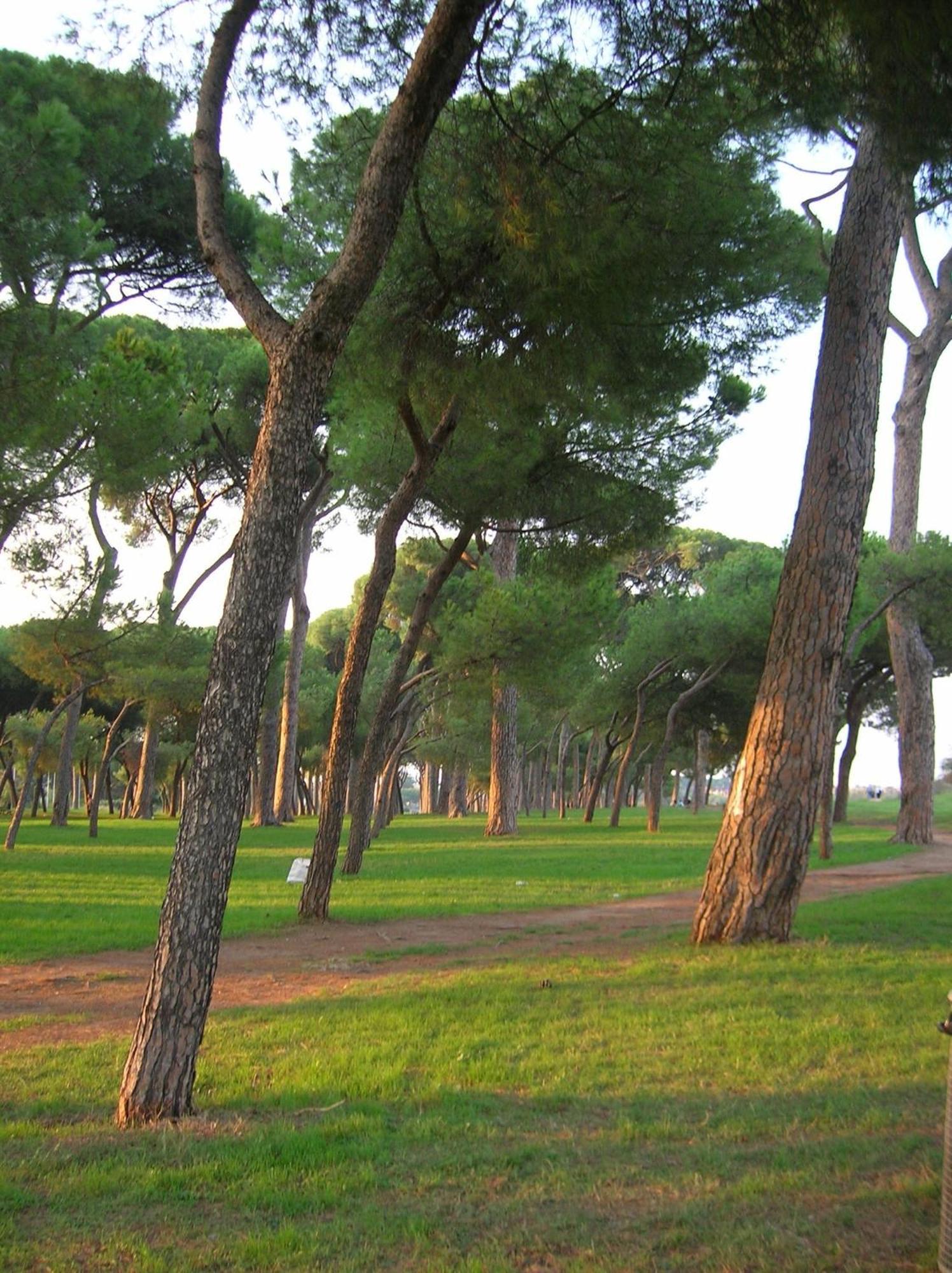 Nearpineta Apartment Rome Bagian luar foto